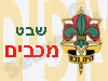 שבט מכבים