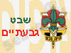 שבט צופי גבעתיים