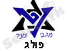 מכבי צעיר פולג 