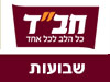 צעירי חב