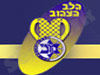 הלב הצהוב 