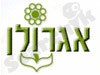 אגרולן