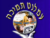 עמלנט תמיכה 