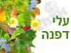 עלי דפנה 