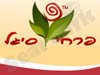 פרחי סיגל 