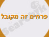 פרחים זה מקובל