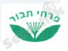 פרחי תבור