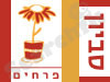 סביון פרחים 