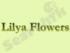 Lilya Flowers