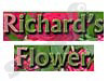 הפרחים של ריצ'רד 