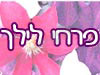 פרחי לילך - אשדוד