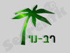 רב-נוי 
