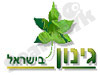 גינון בישראל