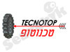 טכנוטופ