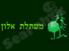 משתלת אלון