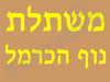משתלת נוף הכרמל