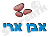 אבן ארי