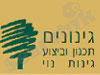 גינונים