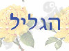 הגליל - גינון ופיתוח