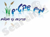 מים שקטים