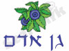 גן אדם 