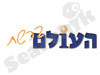 העולם ברשת