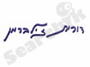 דורית זילברמן
