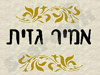 אמיר גזית