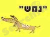 סיפורי נמש