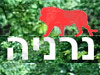 נרניה