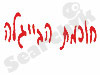 חוכמת הבייגלה 