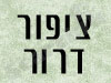ציפור דרור 