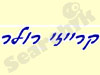 קרייזי רולר 