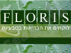 פלוריש