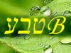 Bטבע 