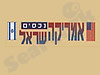 אמריקה ישראל נכסים 
