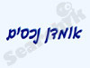 אמדן נכסים 