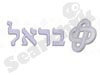 נכסים בראל