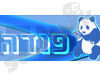 פנדה