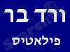 ורד בר 