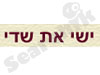 ישי את שדי