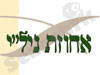 אחוזת ניל``י 
