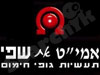 אמי
