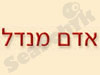 אדם מנדל