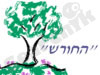 בית ספר החורש 