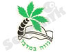 נווה במדבר