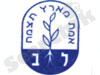 ליאו-בק
