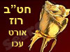 חט``ב רוז אורט עכו