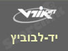 אורט יד-לבוביץ` 