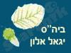 בית הספר יגאל אלון